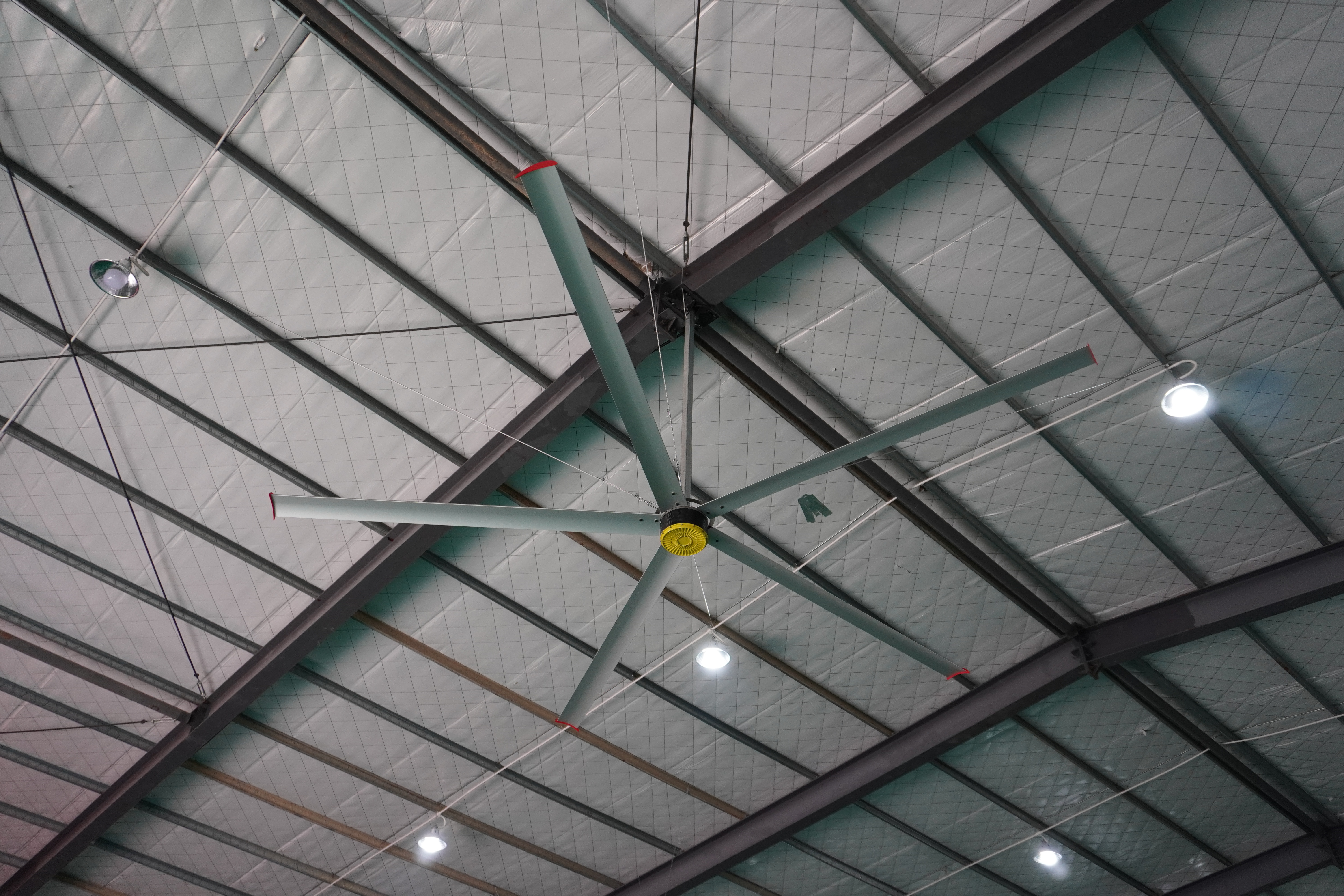 DSC00905_看圖王.jpg